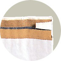 مانع القرصة